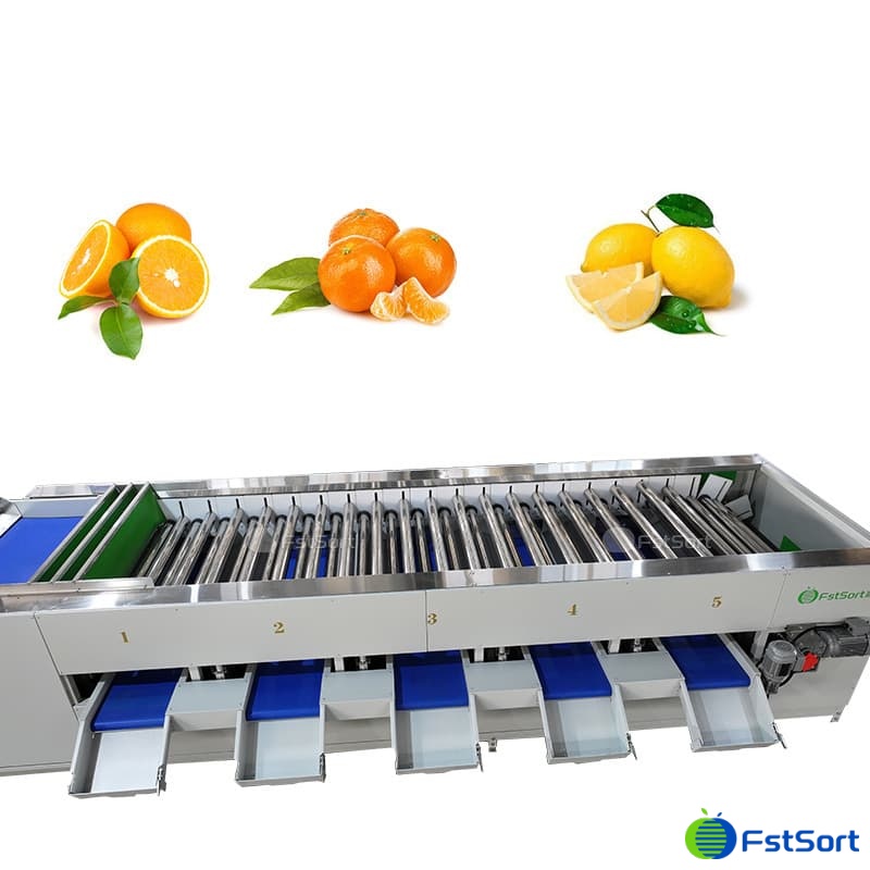 images/1762764558290citrus processing.jpg